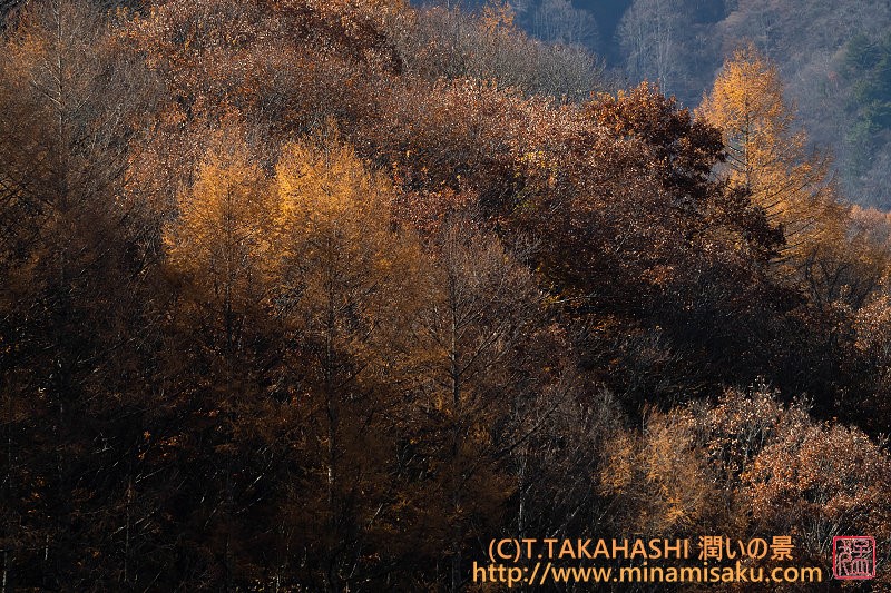 ../Images/7R251115 (156).jpg